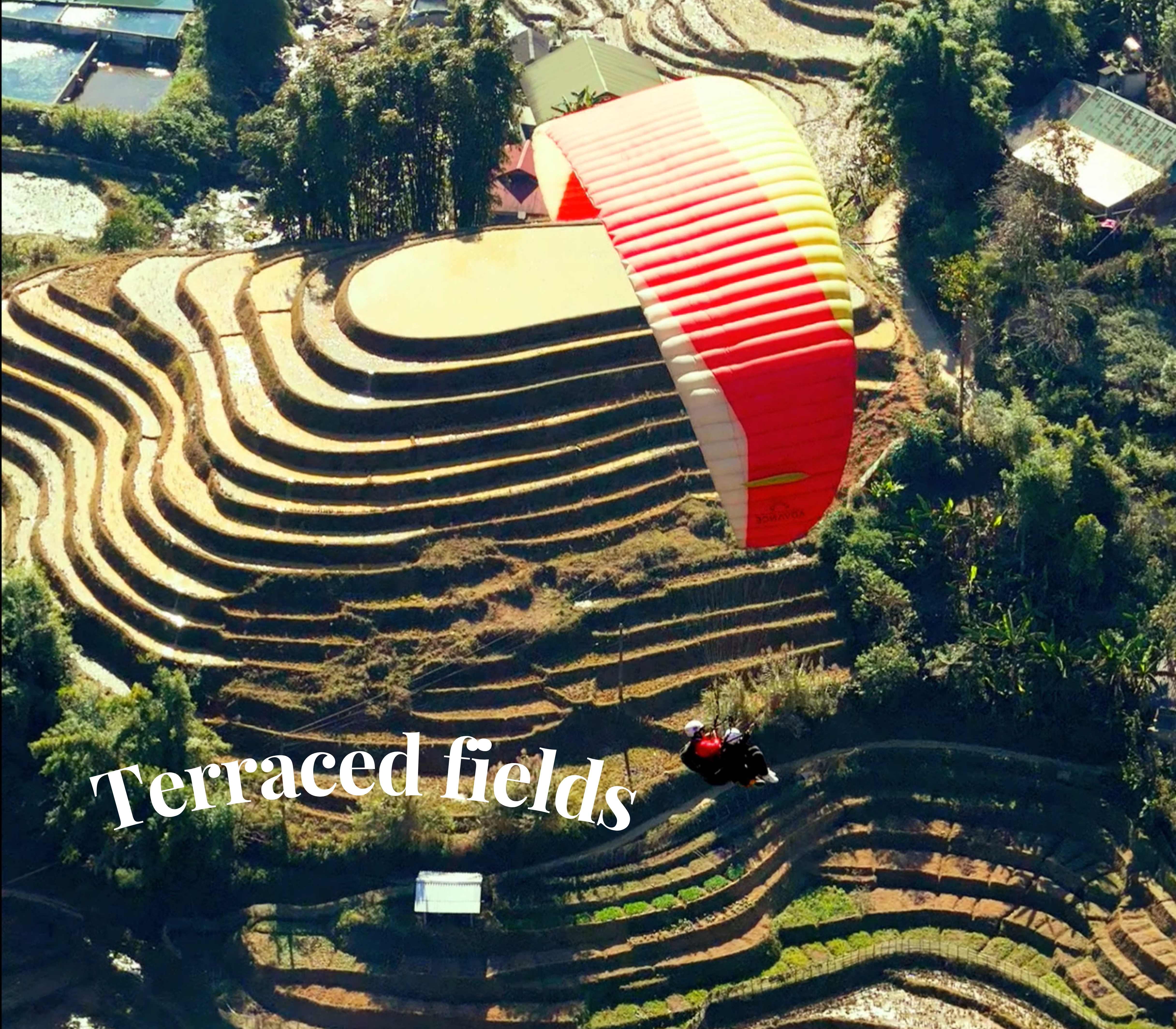 Cuộc Phiêu Lưu Đang Chờ